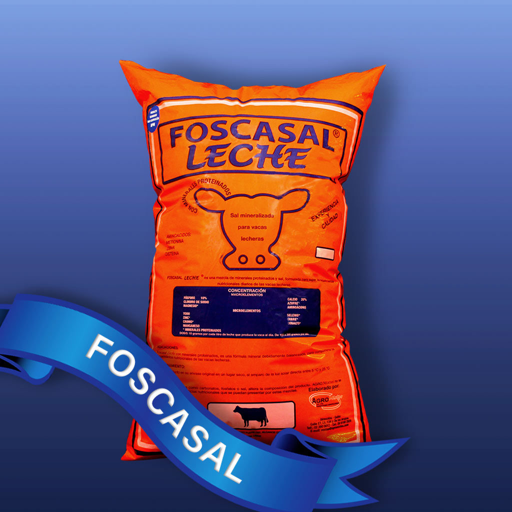 Foscasal-Leche-Funda-5kg
