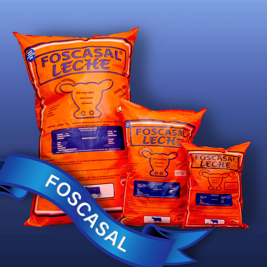 Foscasal-Leche