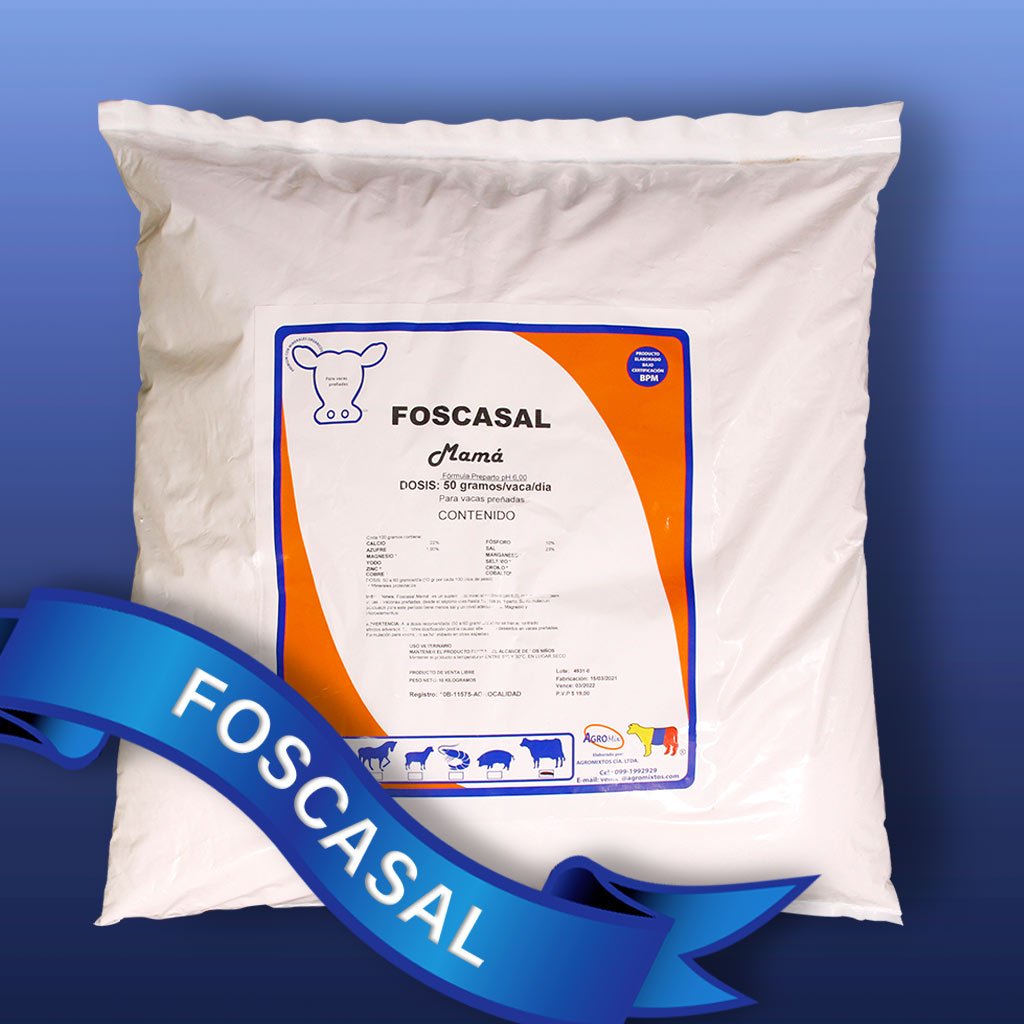Foscasal-Mama