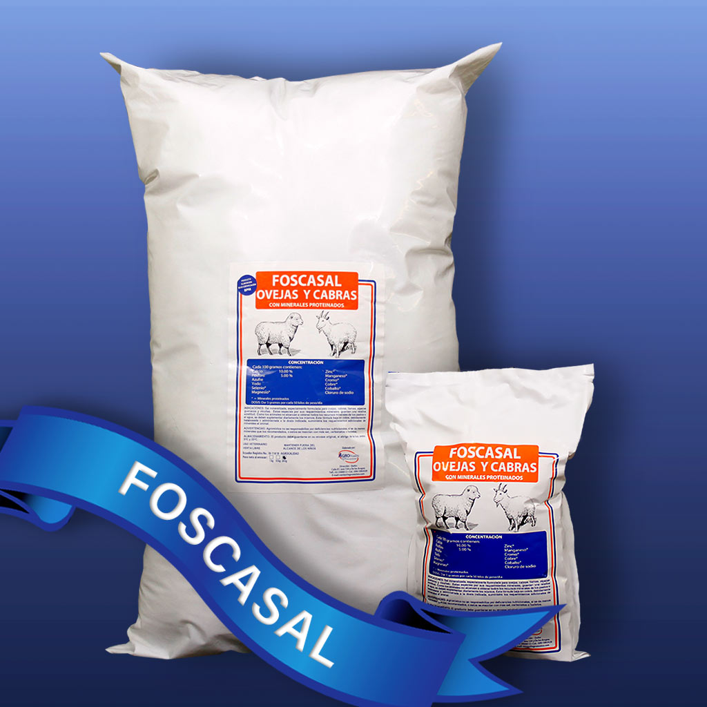 Foscasal-OvejasYCabras