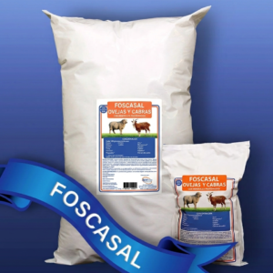 Foscasal Ovejas y Cabras